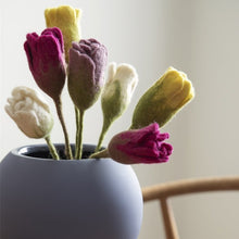 Tulipan - Hvid