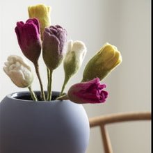 Tulipan - Purple