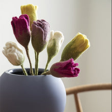 Tulipan - Gul