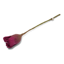 Tulipan - Cerise