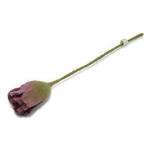 Tulipan - Purple