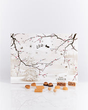 Summerbird - Julekalender - Amber