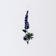 Flora - Serviet - Lupin - 50x50 cm